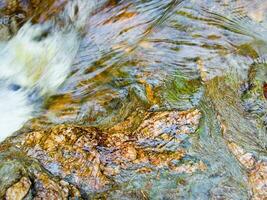 a leaf on a rock in a stream photo