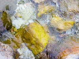 a leaf on a rock in a stream photo