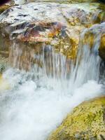 a leaf on a rock in a stream photo