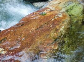 a leaf on a rock in a stream photo