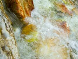 a leaf on a rock in a stream photo