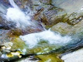 a leaf on a rock in a stream photo