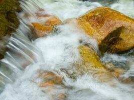 a leaf on a rock in a stream photo