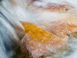 a leaf on a rock in a stream photo