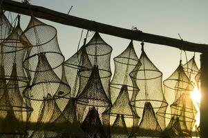 a group of fishing nets in the sun photo