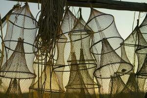 a group of fishing nets in the sun photo