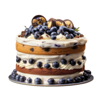 Chocolate cake with berries isolated png