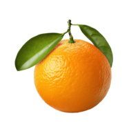 solteiro mandarina isolado png