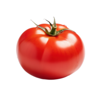 rosso pomodoro isolato. png