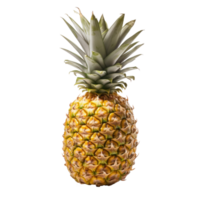 A single pineapple isolated png