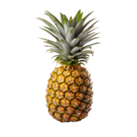 een single ananas geïsoleerd png