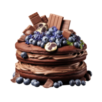 Chocolate cake with berries isolated png