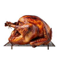 Grill turkey for Thanksgiving isolated png