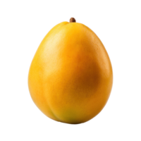 Fresh mango isolated png