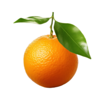 Single mandarine isolated png