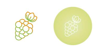 Berries Vector Icon