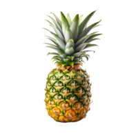 en enda ananas isolerat png