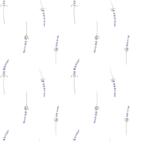 lavanda acuarela sin costura modelo en aislado antecedentes. mano dibujado ilustración con provence Lavandula flores botánico fondo con salvaje hierba para envase papel o textil diseño. png