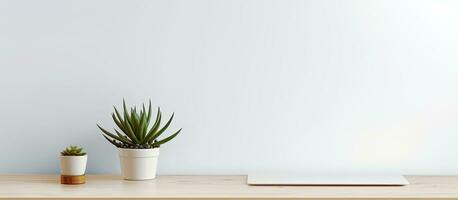 A simple background image of an inviting and empty workplace featuring a white desk and a succulent photo