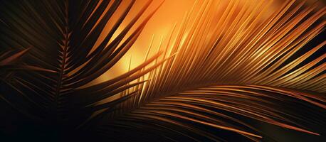 Background with a palm tree that is golden in color photo