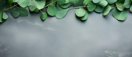 green eucalyptus leaves arranged on a stone table with a frame made of eucalyptus branches. captured photo