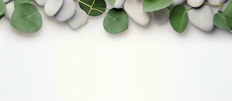 green eucalyptus leaves arranged on a stone table with a frame made of eucalyptus branches. captured photo