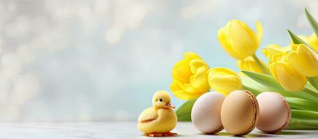 Close-up side view of yellow tulips, eggs, and a set of Easter macaroon chicks on a marble background. photo