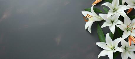A gray background with a space for text, featuring a flat lay arrangement of lilies photo
