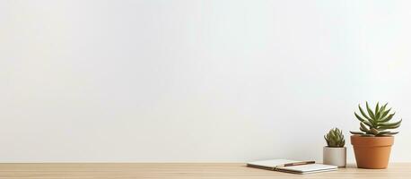 A simple background image of an inviting and empty workplace featuring a white desk and a succulent photo