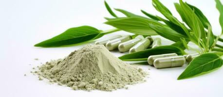 Close Up of Andrographis Paniculata Powder and Herbal Capsules on a White Background. copy space photo