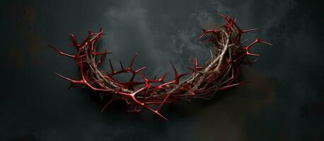 The top view of a crown of thorns with empty space available for copying. photo