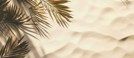 A top-down view of a banner made of palm leaf shadow on sand, with an empty space for text. photo