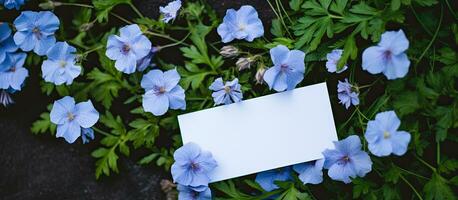 un saludo tarjeta con un azul flor modelo en un fondo, desplegado en un plano laico con Copiar foto