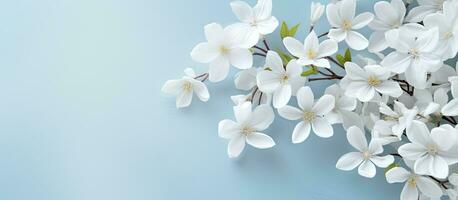 un resumen antecedentes con blanco flores, un natural floral imagen ese tiene espacio para texto. Perfecto foto