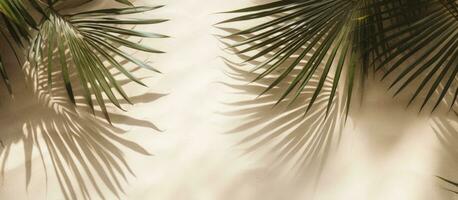 A top-down view of a banner made of palm leaf shadow on sand, with an empty space for text. photo