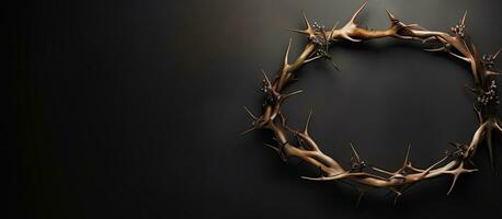 The top view of a crown of thorns with empty space available for copying. photo