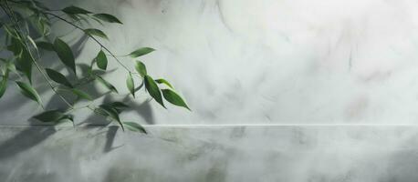 An abstract nature concept background with leaves shadows on a rough and irregular gray-green photo