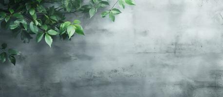 An abstract nature concept background with leaves shadows on a rough and irregular gray-green photo