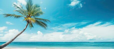 beach with a palm tree, a blue sky, and white clouds. It represents the concepts of summer vacation photo