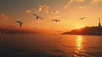 Seagulls flying over the Bosphorus at sunset in Istanbul Turkey photo