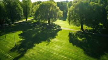 A sunny day in a city park with trees casting shade on a green lawn captured from above photo