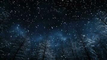 Snowy trees in a winter forest with snowfall and no dust or noise just many flying snowflakes in the sky photo