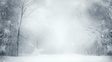 High quality photo of a snowy road view through an old forest with black tree silhouettes and a white snow background in winter