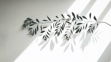 Silhouette shadow of leaves on a white background Blurred sunlight on tropical leaves photo