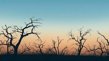 Outline of bare trees against a cloudless sky photo