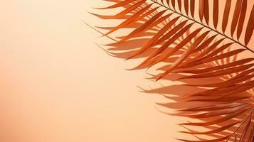 Warm orange and beige summer color background with tropical palm shadow Two trend pastel paper and exotic plant shade layout Minimal flat lay with leaf silhouette overlay photo