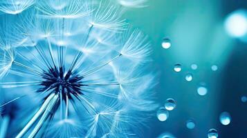 Macro image of a dandelion seed with a water drop on it set against a vivid blue and turquoise backdrop Free space for text Vibrant and artistic photo