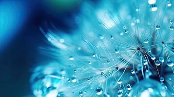 Macro image of a dandelion seed with a water drop on it set against a vivid blue and turquoise backdrop Free space for text Vibrant and artistic photo