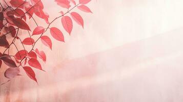 Sunlight casts shadow and light on a white wall with pink background Tropical leaves create a shaded effect photo
