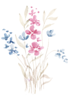 wild Aquarell Blume Wiese png